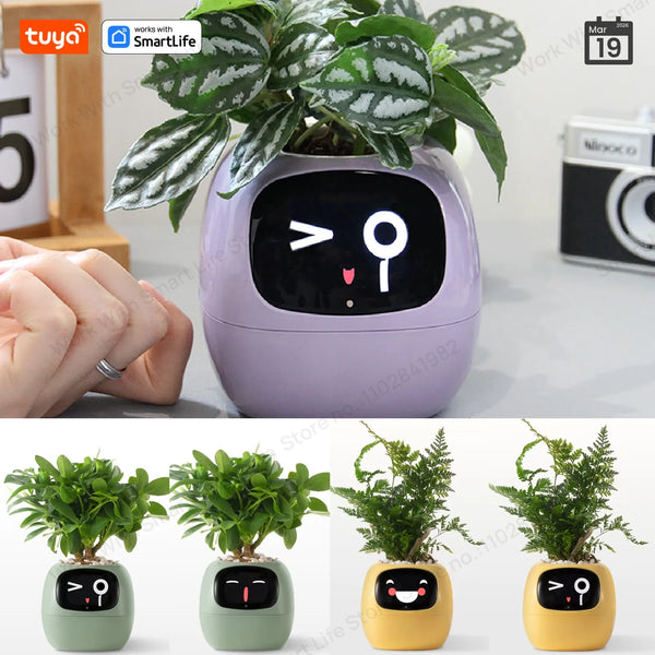 Tuya Smart AI Planter with Sensor Display